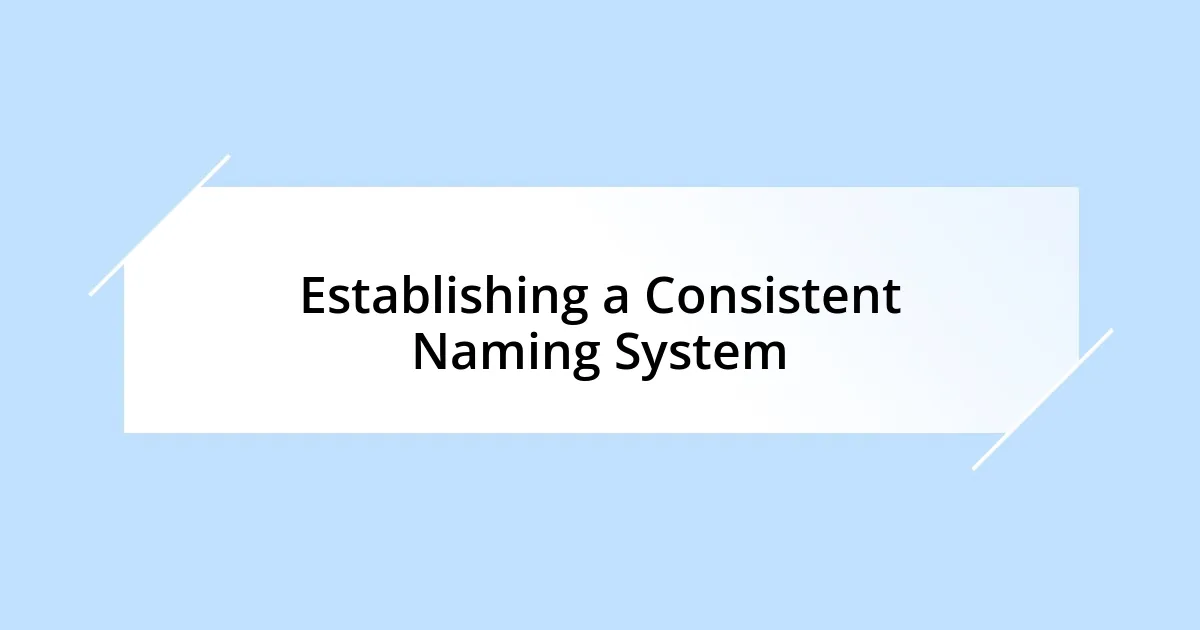 Establishing a Consistent Naming System