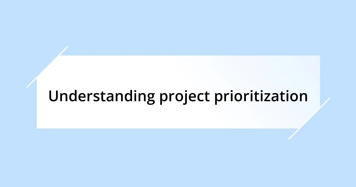 Understanding project prioritization