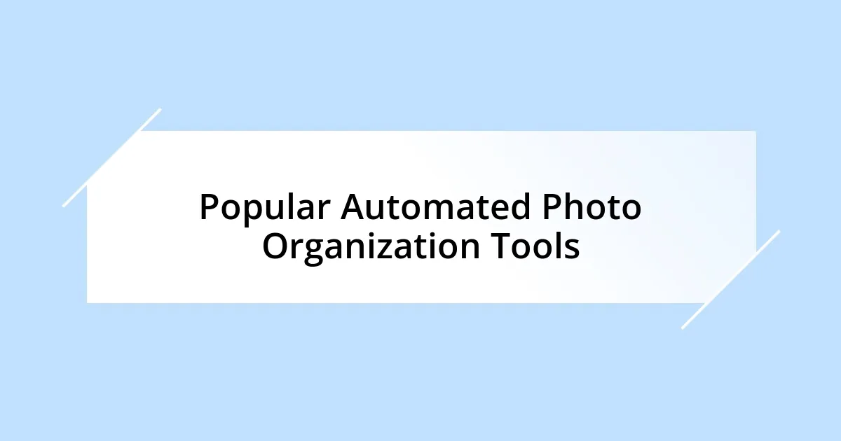 Popular Automated Photo Organization Tools