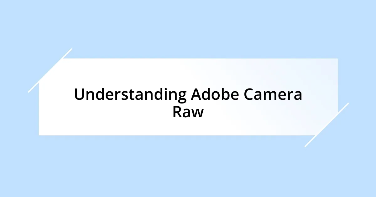Understanding Adobe Camera Raw