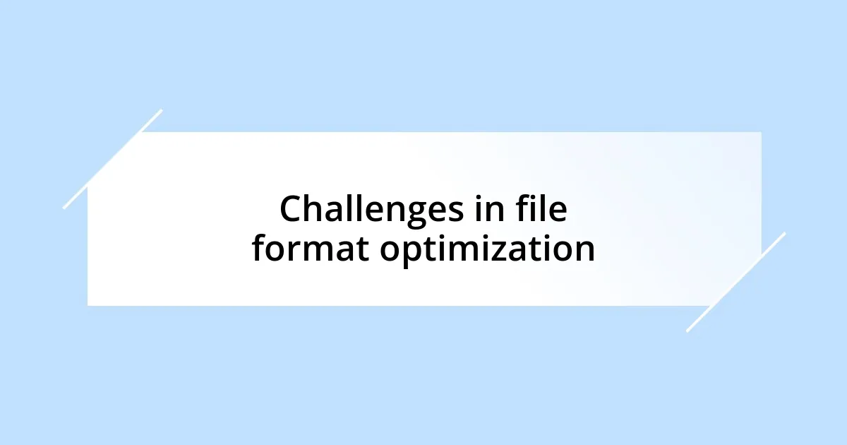 Challenges in file format optimization