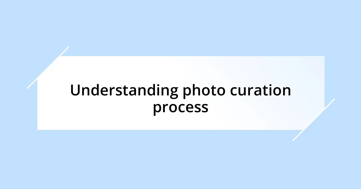 Understanding photo curation process